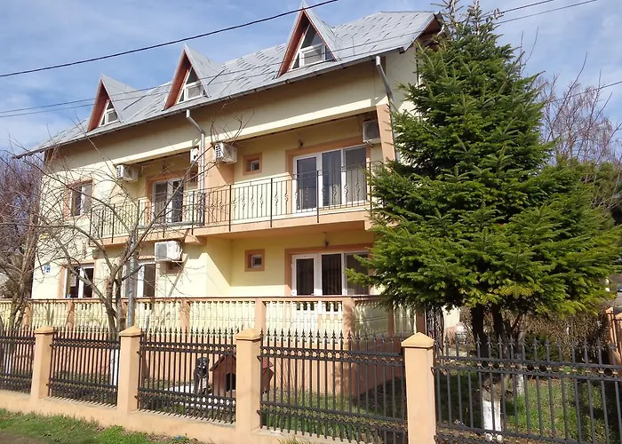 Pensiunea Casa Johnelly Bed & Breakfast *