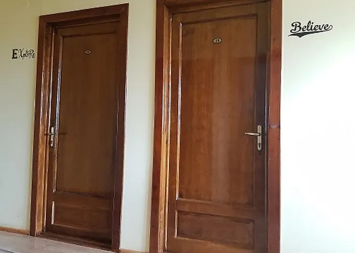 Bed & Breakfast Pensiunea Casa Johnelly Costinesti