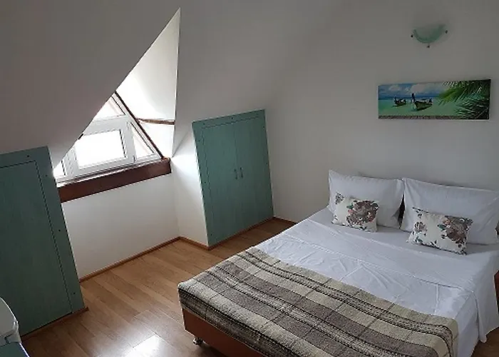 Bed & Breakfast Pensiunea Casa Johnelly Costinesti