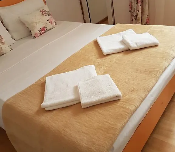 Pensiunea Casa Johnelly Costinesti